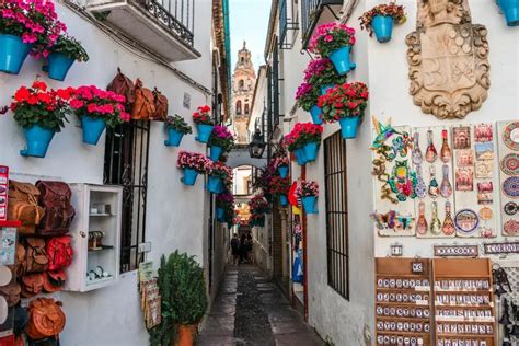 Calleja de las Flores, A picturesque alley adorned with flowers.