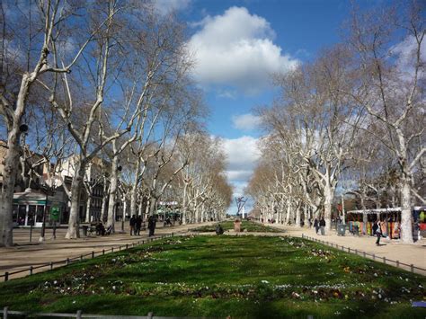 Esplanade Charles-de-Gaulle, A popular park and promenade area in central Montpellier.